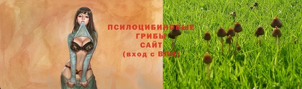 мет Баксан