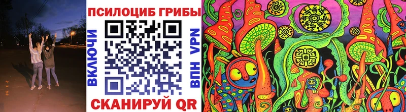 Галлюциногенные грибы MAGIC MUSHROOMS  где купить наркотик  Кыштым 